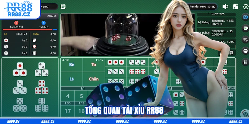 Tổng quan Tài xỉu RR88